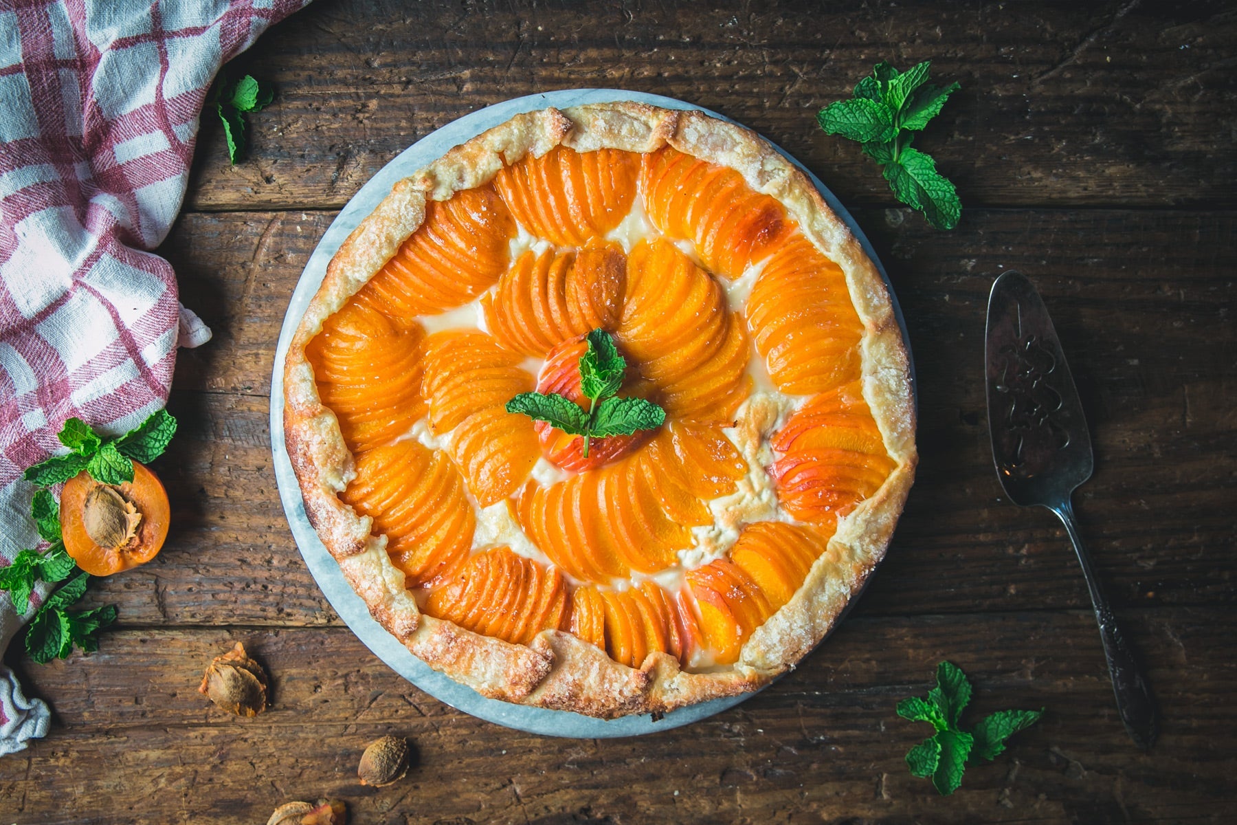 Apricot Galette Recipe – Fontana Forni USA